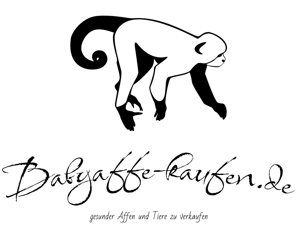 babyaffe-kaufen